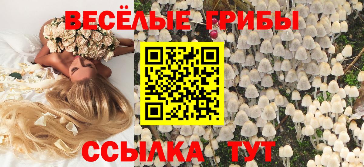 Галлюциногенные грибы Psilocybine cubensis  Вход с VPN  Бирск 