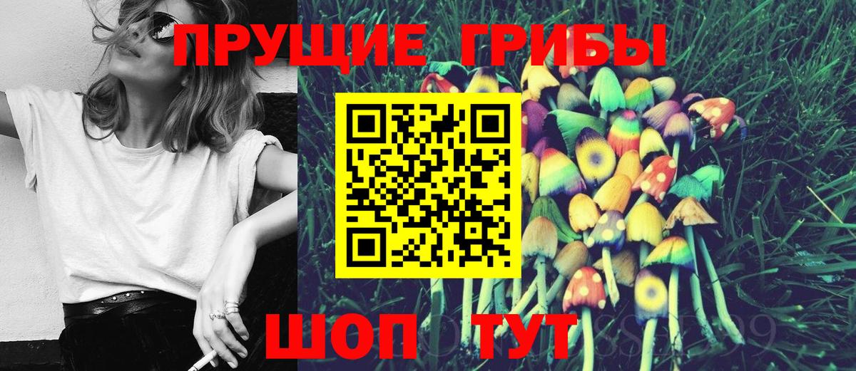 Псилоцибиновые грибы Psilocybine cubensis Бирск